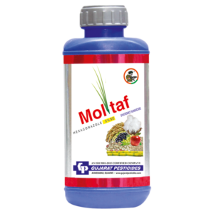 MOLTAF - HEXACONAZOLE 5% SC - Fungicide