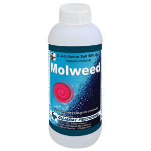MOLWEED - 2,4-D AMINE SALT 58% SL - Herbicide