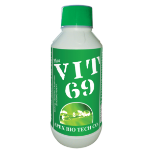 MOR VIT 69 P- PGR