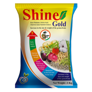 SHINE GOLD - PGR