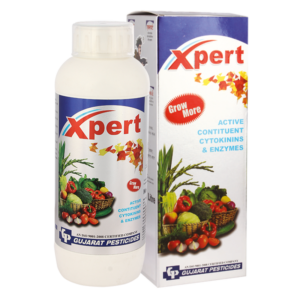 XPERT - PGR