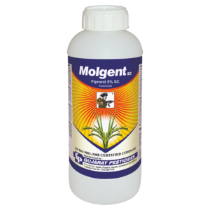 MOLGENT – 5 - FIPRONIL 5% SC - Insecticide
