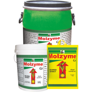 MOLZYME - PGR