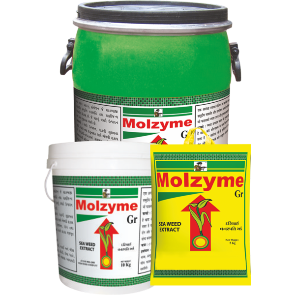 MOLZYME - PGR
