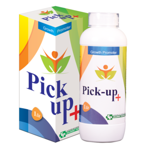 PICK-UP + - PGR