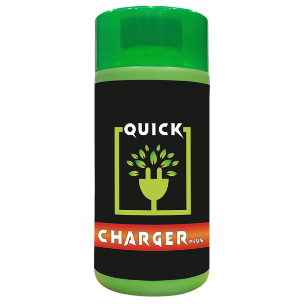QUICK CHARGER - PGR