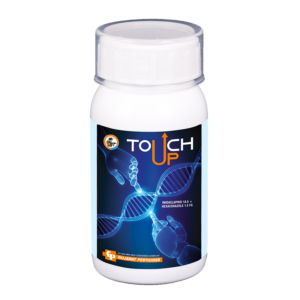 TOUCH-UP - IMIDACLOPRIDE 18.5% + HEXACONAZOLE 1.5% FS - Insecticide