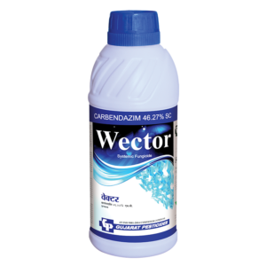 WECTOR - CARBENDAZIM 46.27% SC - Fungicide
