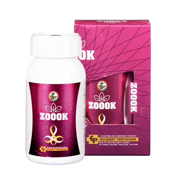 ZOOOK - PGR